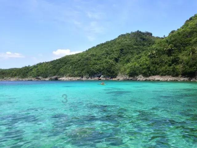 逃离小人国森林